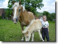 na�i mil��kov�