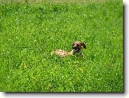 pohodi�ka na hor�ch