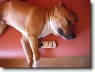 v t� telce fakt nic nen�