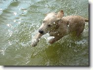 Miluju dov�d�n� ve vod�!