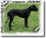 Ibekles z Josefovsk�ch bud