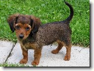 ..t�ta s m�mou jezev��ci a co budu j�?