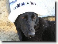 Opaluj�c� se madam