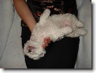 J� je�te �iju!!!