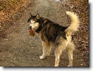 J�..hele..list se mi p�ilepil na jazyk...:)