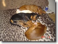 Prost� jen takov� POHODICKA