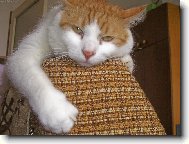 tohle k�eslo je moje