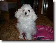 m�m MP3 p�ehr�va�