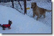 L�ska na prvn� pohled