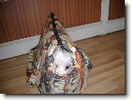 v p�enosn� ta�ce