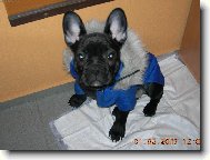 Kab�tek u�it� na m�ru.