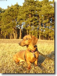 m�lo kdo by v��il, �e je to foceno v lednu