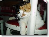 Zuzanka aj ej� vra�edn� pohled