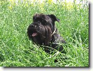 Jsem si myslel, �e nejsem vid�t