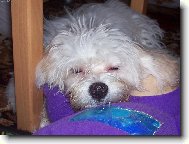 dneska u� nikam nejdu...