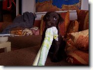 Jsem nevi��tko...