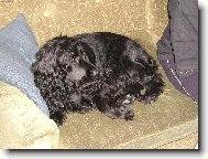 �oupni se, nem�m tu m�sto