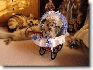 Prost� k se�r�n�...