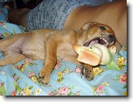 Koukni jak� m�m zoubky.