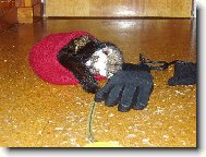 Dav�dek po n�ro�n� proch�zce.