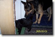 kamar�di : Lucie + Falo