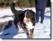 M�am, to byla ale dobrota