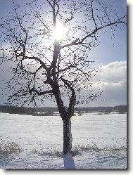 od Kostelce k Jevan�m