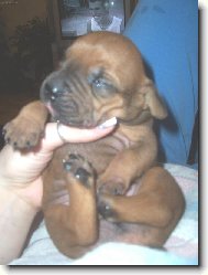 neru�it,spik�m:o)