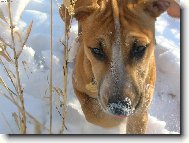 To b�l� mi d�l� trochu vr�sky...co je to?