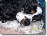 To se mi to spink� :-)