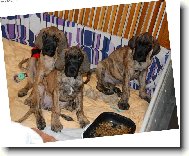 ��han� nad�lka