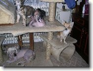 U� jsme v�ichni?