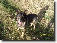 tak u� mi ten aport ho�!!!!!