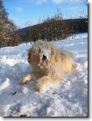 Kone�n� sn�ek!!!