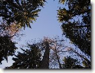 �eb��k do nebe