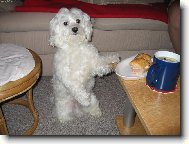 A bude se sn�dat ....!