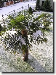 Zima je�t� zlob�