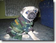 m�dn� p�ehl�dka