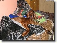 ZAS�N�ME,JDE SE NA KUT�