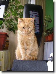 Cipina cht�la posilovat :-)