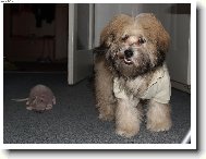 Sundej to ze m� nebo...