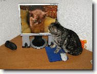 Takhle �e jsem vypadal j�?