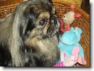 B��a se sv�mi kamar�dy....