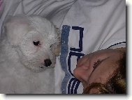 Na�e mal� radost...