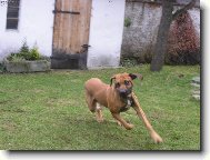 Jsem rychl� jako v�tr!