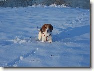 Je�t� kousek a byl bych zavalenej