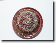 t�sn� p�ed kv�tem