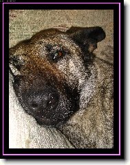 Chci u� m�t klid...