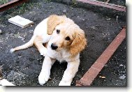 Tady chci boudi�ku