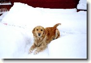 To je v�echno moje